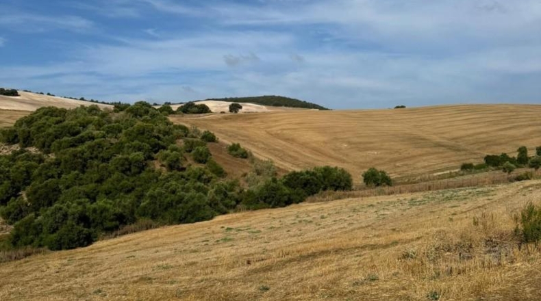 Cádiz - Arcos de la Frontera - 7000m2