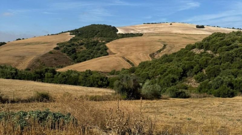 Cádiz - Arcos de la Frontera - 7000m2