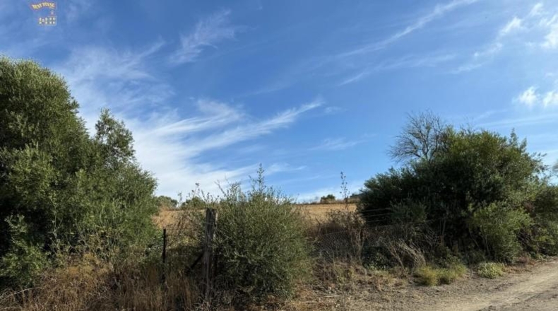 Cádiz - Arcos de la Frontera - 7000m2