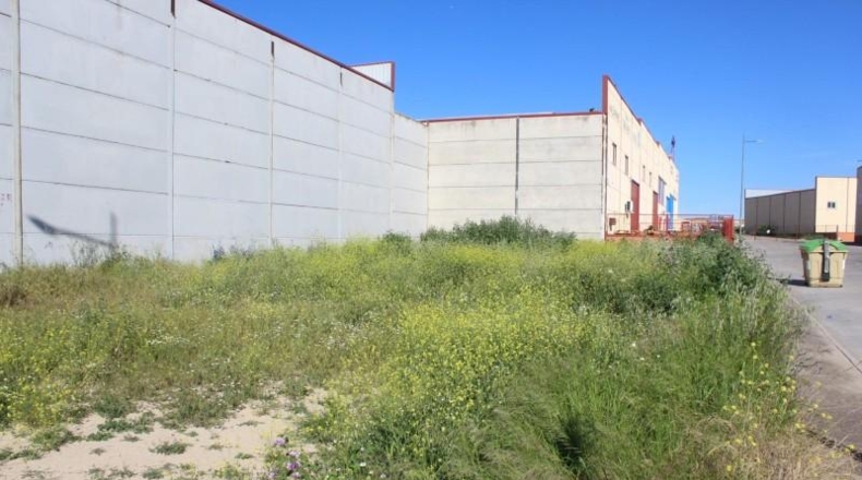 Toledo - Escalonilla - 553m2