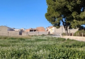 Terreny no urbanitzable en venda a la España, Las Torres de Cotillas, ref.: TR408454 foto
