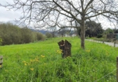 Land suitable for development for sale on España, Villabáñez, ref: TR396575 photo