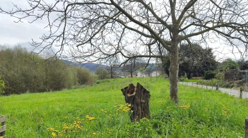 Cantàbria - Villabáñez - 2485m2