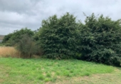 Sòl urbà en venda a la España, Chaves, ref.: TR116104 foto