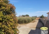 Sòl urbà en venda a la España, Alcover, ref.: TR374199 foto