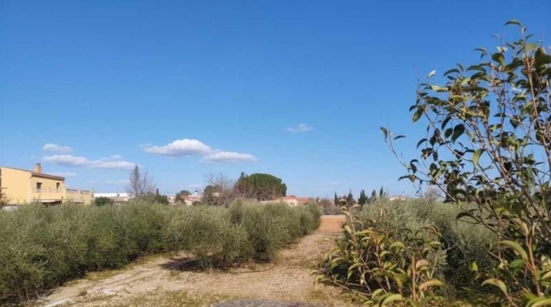 Tarragona - Alcover - 1026m2