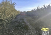 Sòl urbà en venda a la España, Alcover, ref.: TR374199 foto