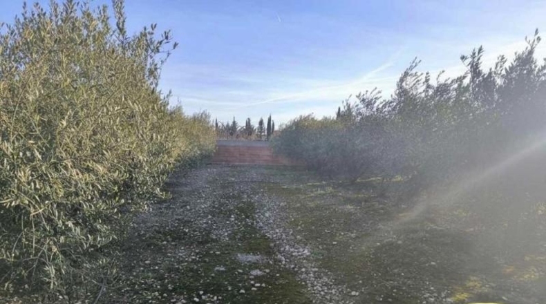 Tarragona - Alcover - 1026m2