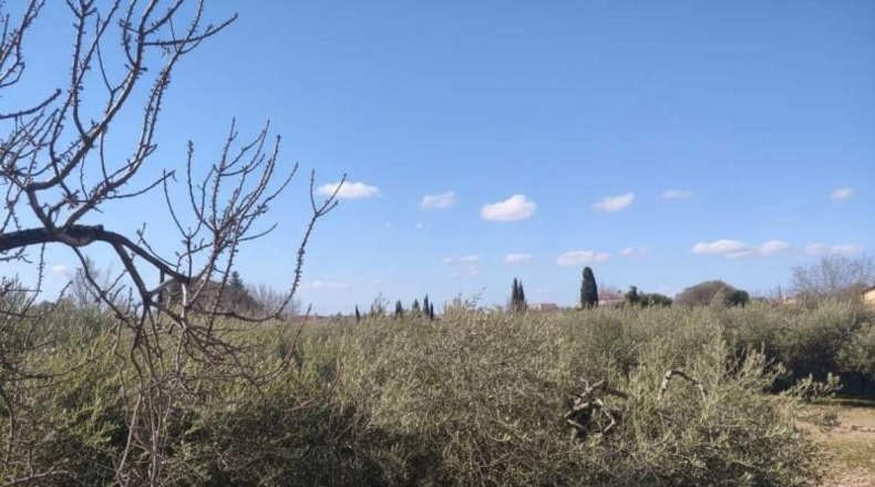 Tarragona - Alcover - 1026m2