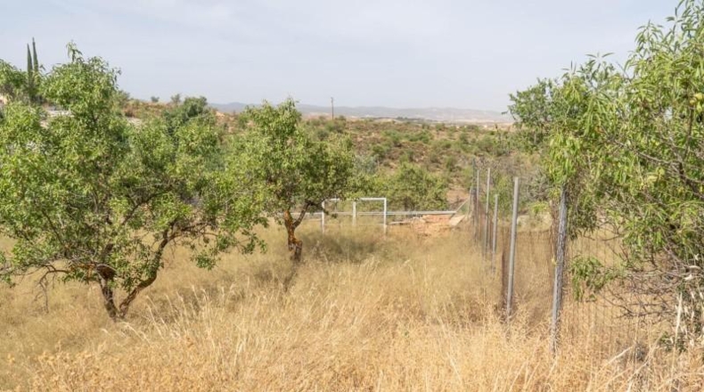Granada - Villa de Otura - 500m2