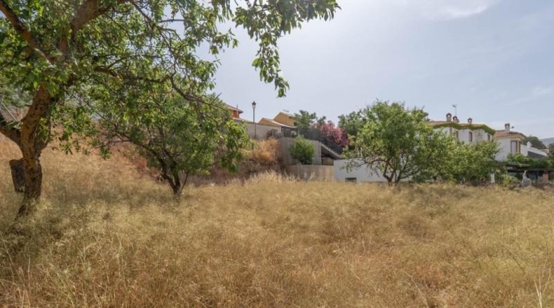 Granada - Villa de Otura - 500m2
