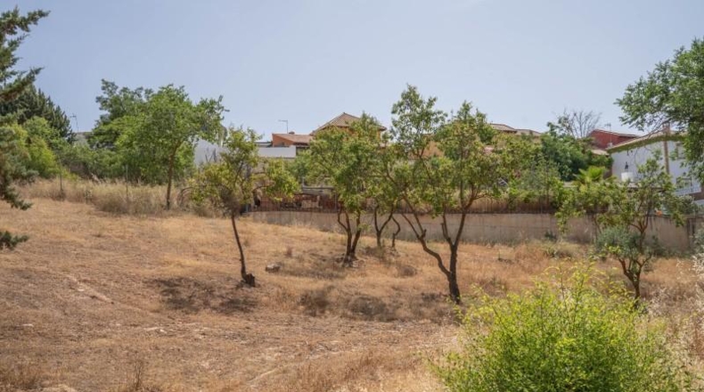 Granada - Villa de Otura - 500m2