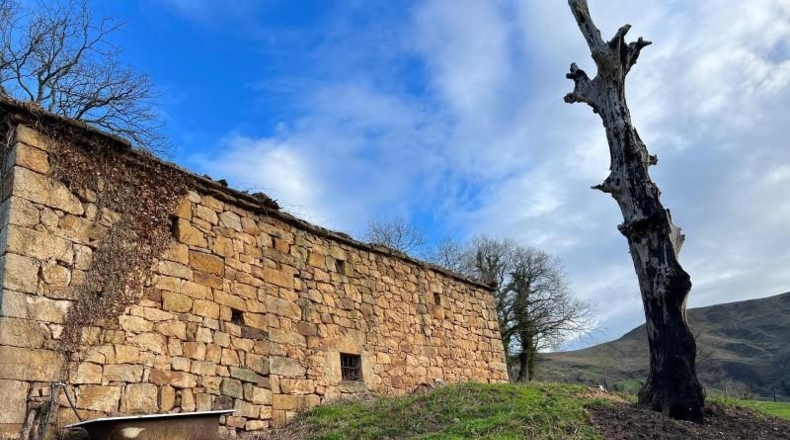 Cantàbria - Saro - 18575m2