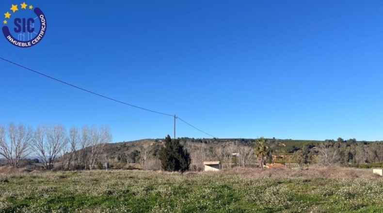 Valencia - Barcheta - 29000m2
