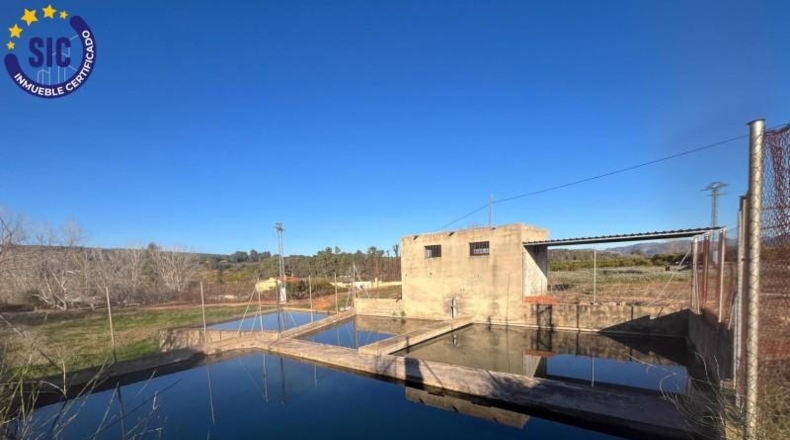 Valencia - Barcheta - 29000m2