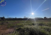 Terreno no urbanizable en venta en la España, Barxeta, ref: TR222306 foto