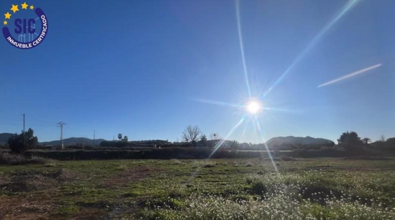 Valencia - Barcheta - 29000m2