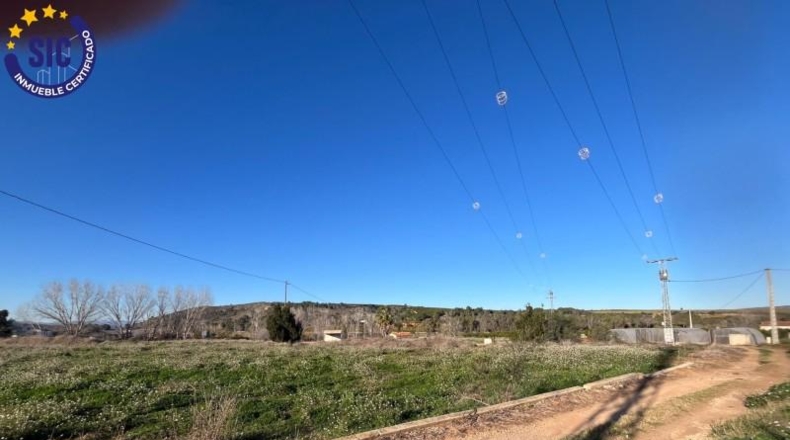 Valencia - Barcheta - 29000m2