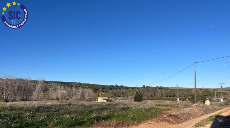 Valencia - Barcheta - 29000m2