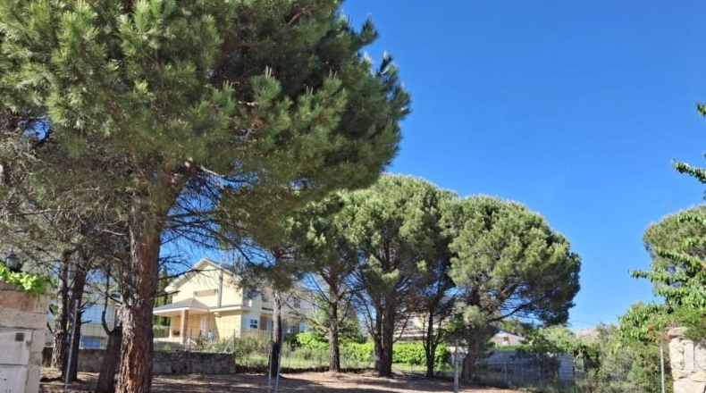 Comunidad de Madrid - Navalafuente - 503m2