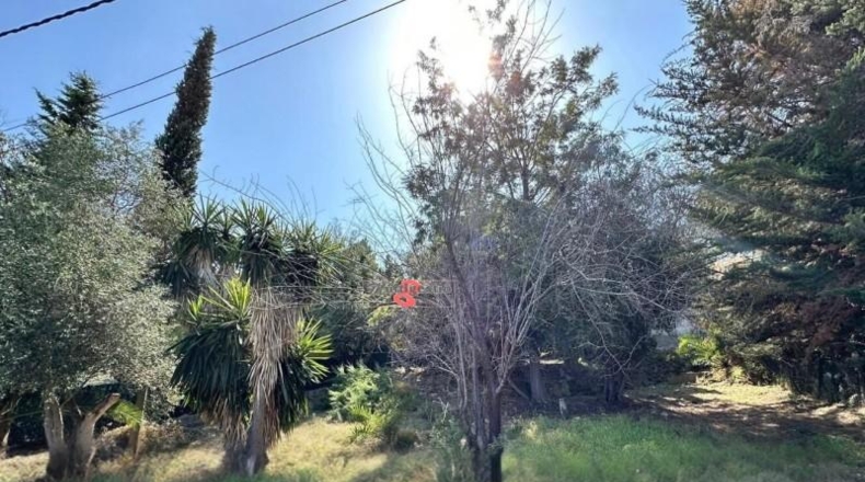 Gerona - Calonge - 450m2