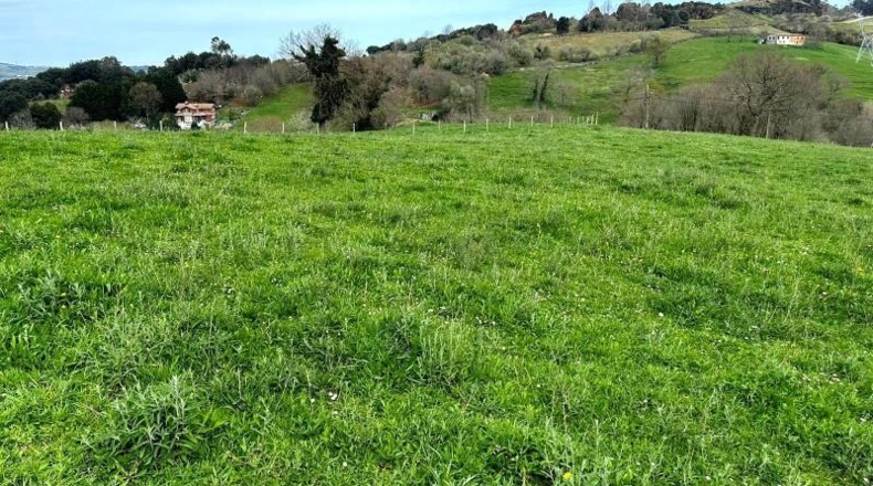 Cantàbria - Obregón - 3200m2
