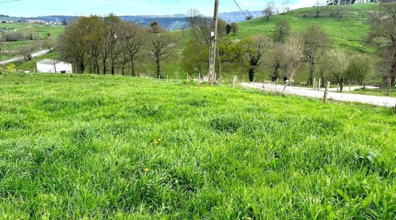 Cantàbria - Obregón - 3200m2