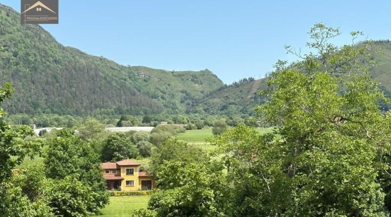 Cantabria - Ruente - 7227m2
