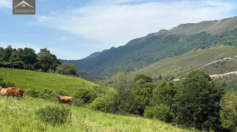 Cantabria - Ruente - 7227m2
