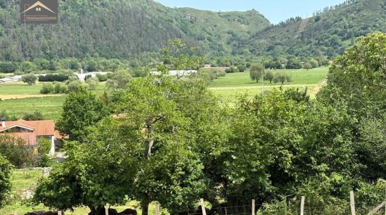 Cantabria - Ruente - 7227m2