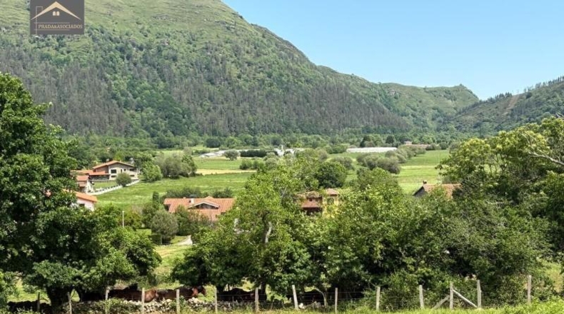 Cantabria - Ruente - 7227m2