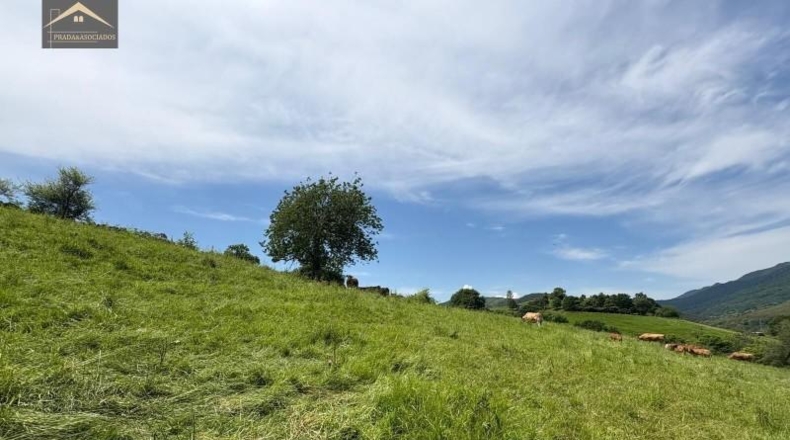 Cantabria - Ruente - 7227m2