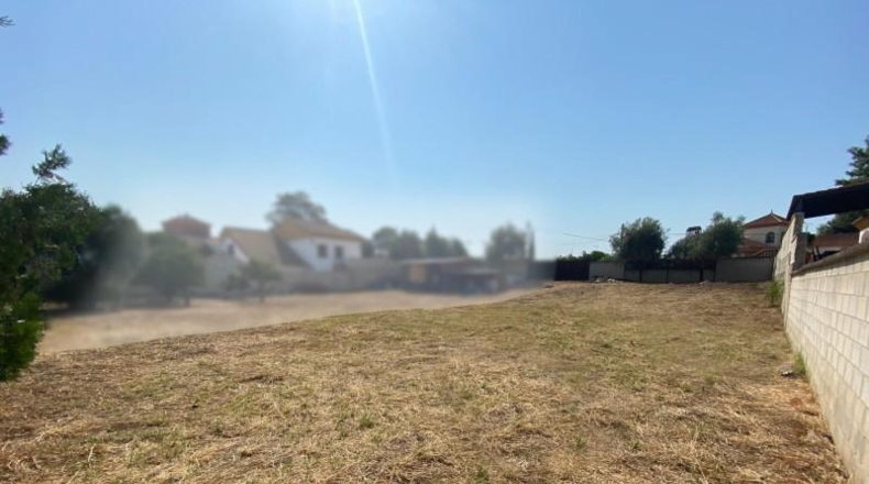 Sevilla - Palomares del Río - 635m2