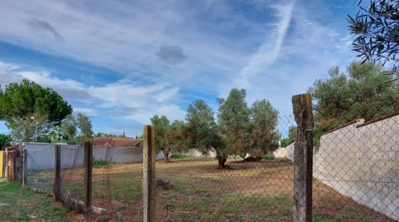 Sevilla - Dos Hermanas - 1264m2