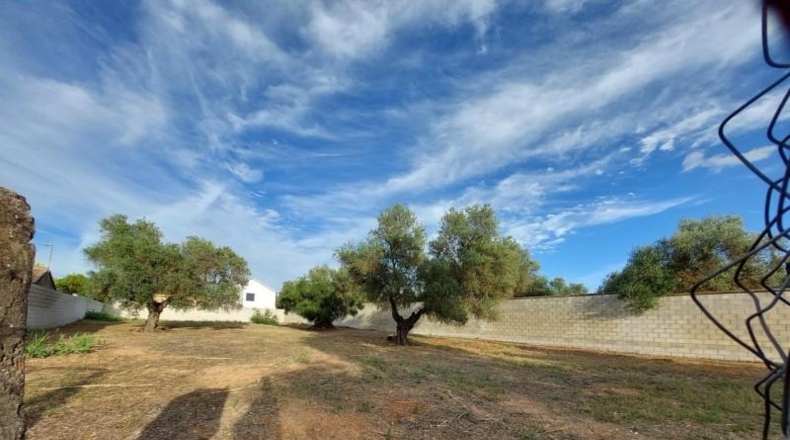 Sevilla - Dos Hermanas - 1264m2