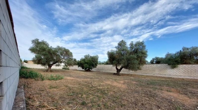 Sevilla - Dos Hermanas - 1264m2