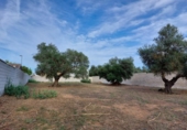 Parcel·la urbanitzable en venda a la España, Dos Hermanas, ref.: TR320844 foto