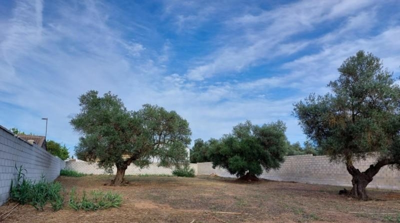 Sevilla - Dos Hermanas - 1264m2