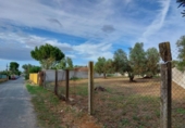 Parcel·la urbanitzable en venda a la España, Dos Hermanas, ref.: TR320844 foto