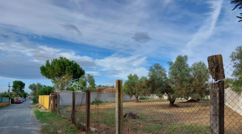 Sevilla - Dos Hermanas - 1264m2