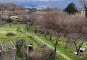 Casa de camp amb terreny en venda a la España, Vivanco, ref.: TR382278 foto