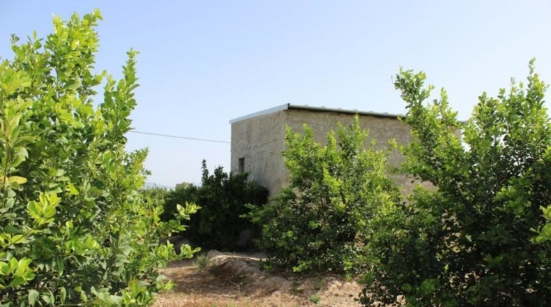 Alicante - Orihuela - 7500m2