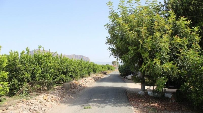 Alicante - Orihuela - 7500m2