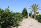 Casa de campo con terreno en venta en la España, Orihuela, ref: TR323536 foto