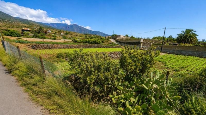 Santa Cruz de Tenerife - Arafo - 6400m2