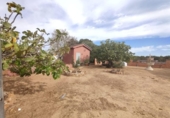 Casa de camp amb terreny en venda a la España, Chiclana de la Frontera, ref.: TR342785 foto