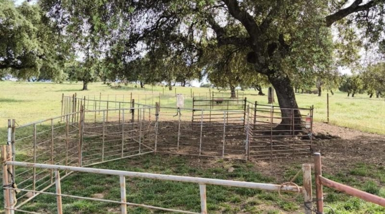 Córdoba - Fuente Obejuna - 175982m2