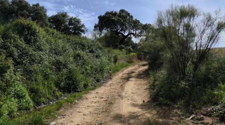 Córdoba - Fuente Obejuna - 175982m2