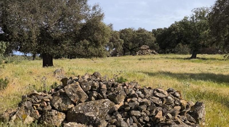 Córdoba - Fuente Obejuna - 175982m2