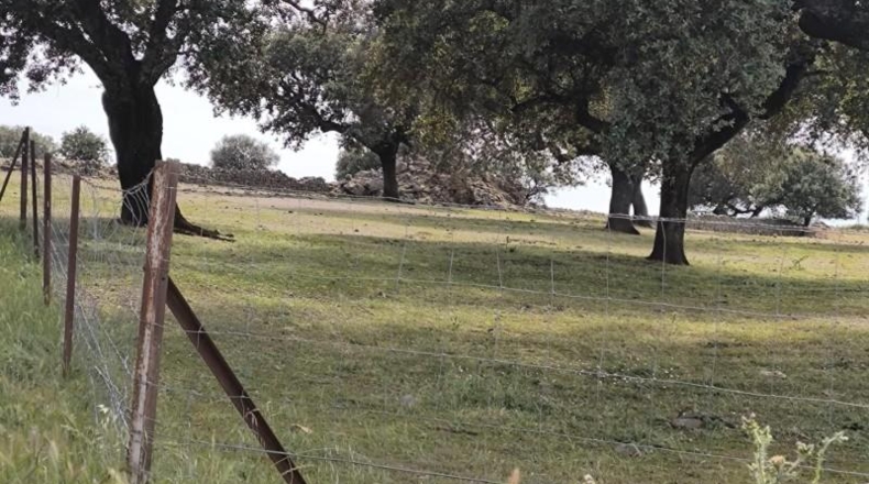 Córdoba - Fuente Obejuna - 175982m2